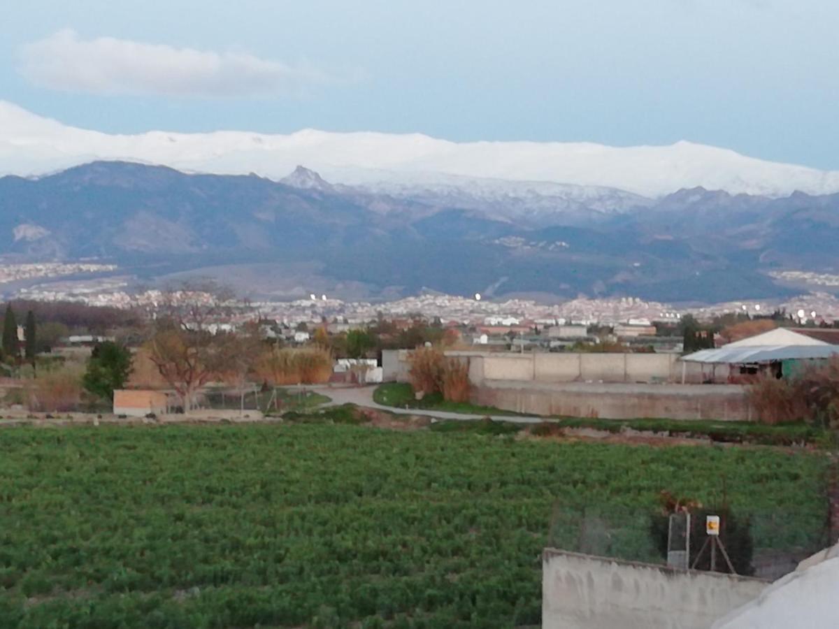 Apartamentos La Vega De Granada Ambroz Eksteriør billede